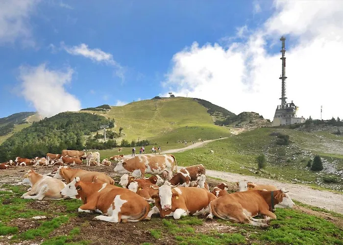 Lejlighed Sivka - Private Sauna *